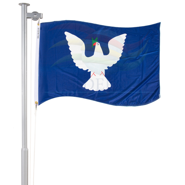 Bandeira de Salvador